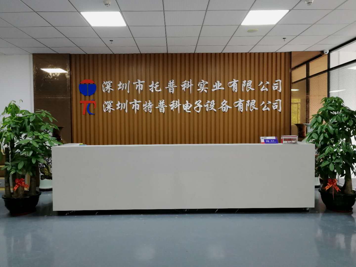糖心网页版在线观看科