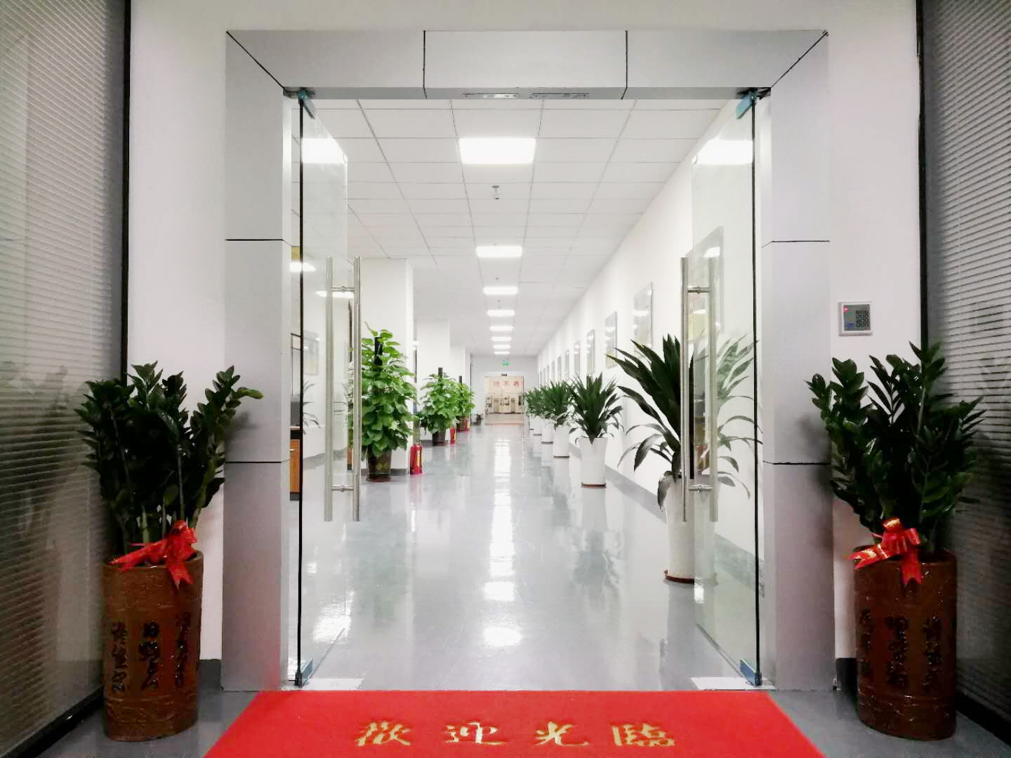 糖心网页版在线观看科